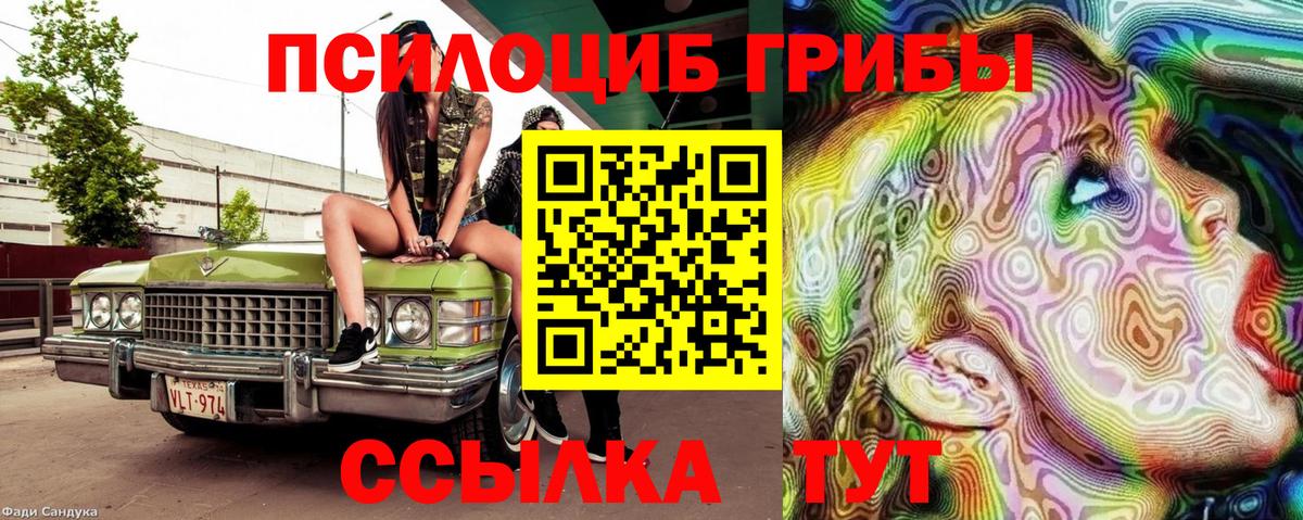 где купить наркоту  Псилоцибиновые грибы ЛСД  Вход с VPN  Ленинск-Кузнецкий 